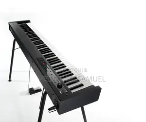 Korg D1 Professional Keyboard