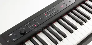 Korg D1 Professional Keyboard