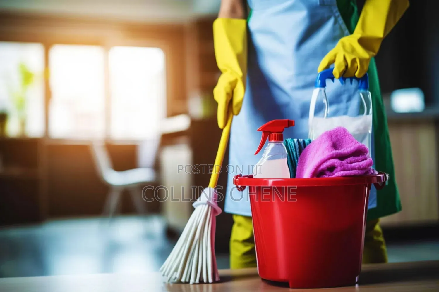 Polytank Cleaning Service and House Cleaning