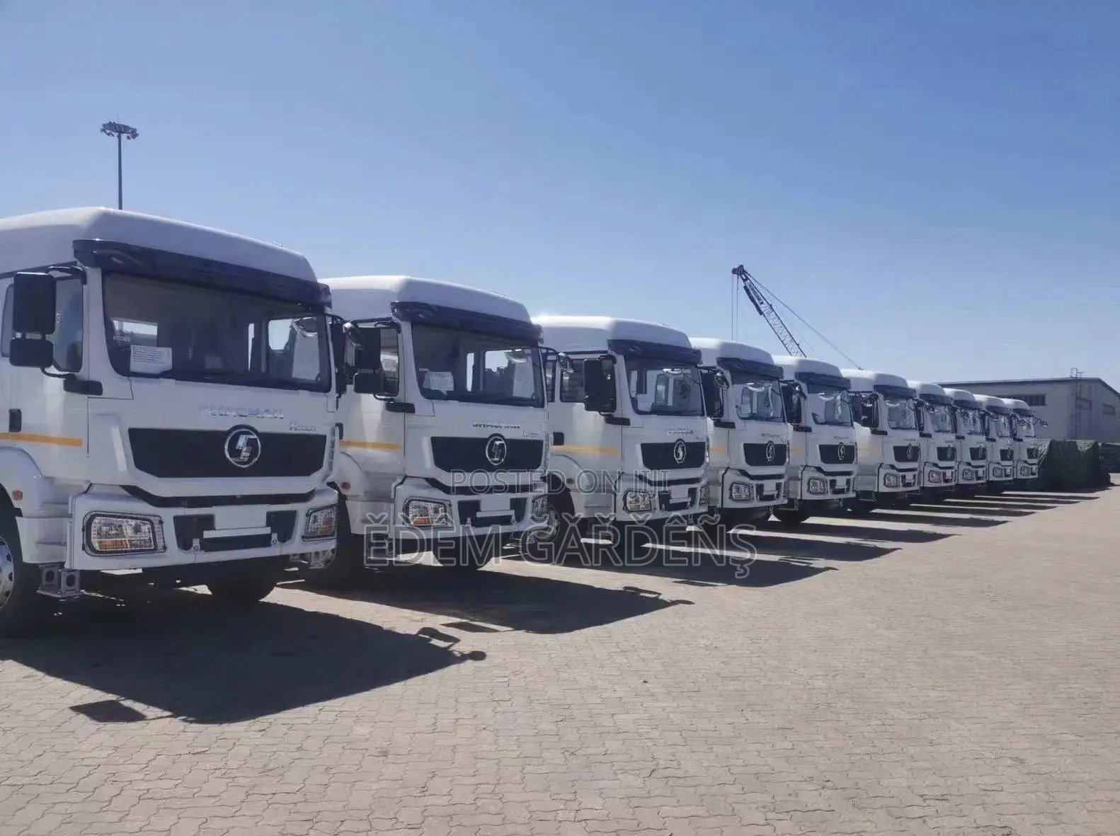 Brand New Shacman Trailer Heads for Sale