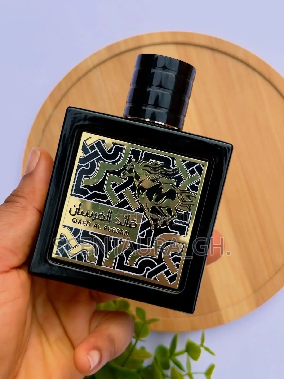Qaed Al Fursan Black