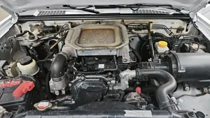 Nissan Hardbody 2020 White