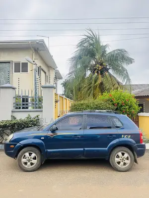 Hyundai Tucson 2006 Blue