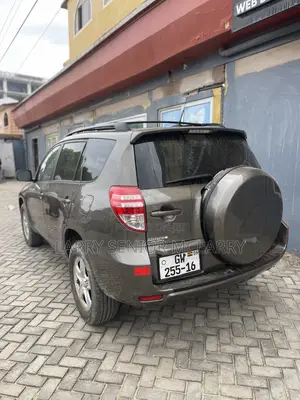 Toyota RAV4 2.5 4x4 2010 Brown