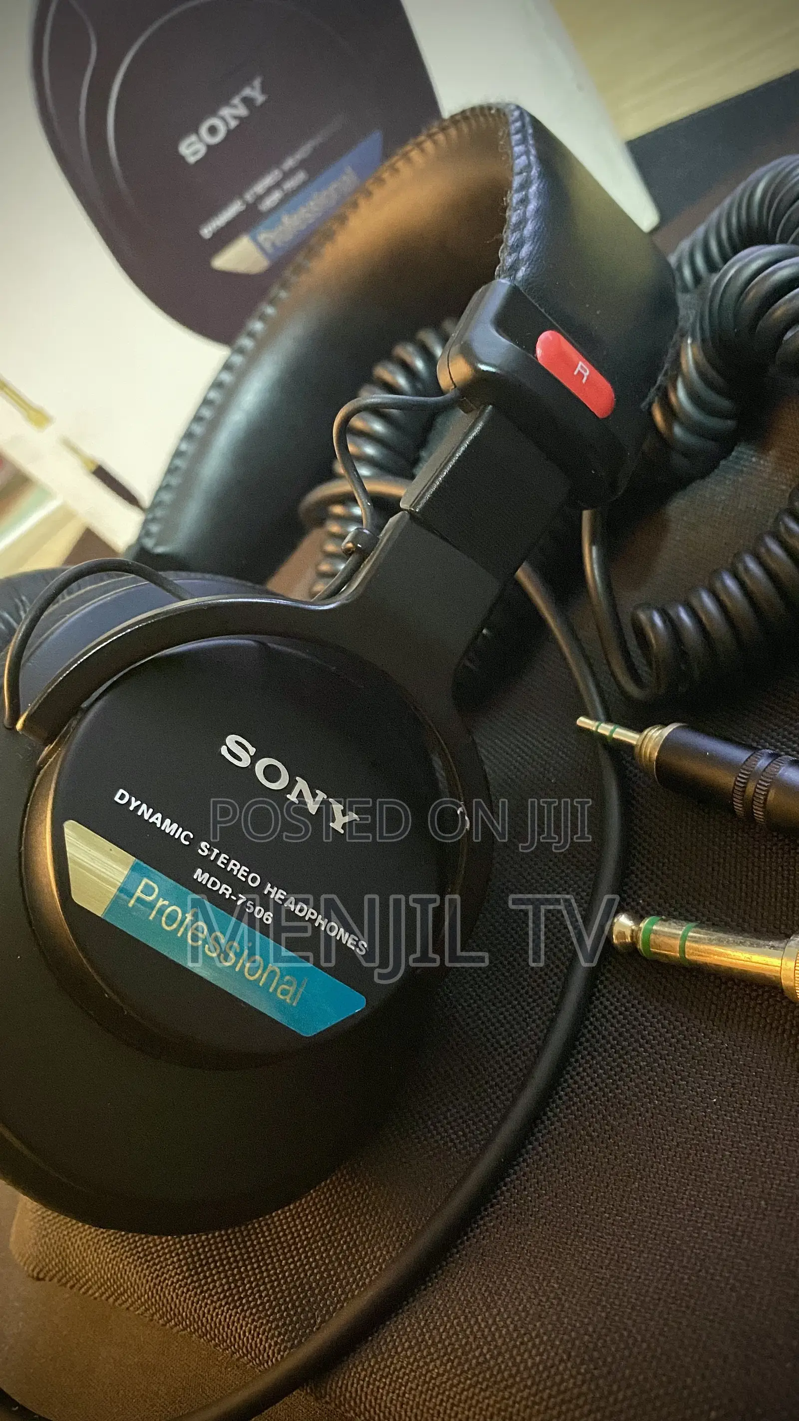 Sony MDR-7506 Professional Studio Headphone