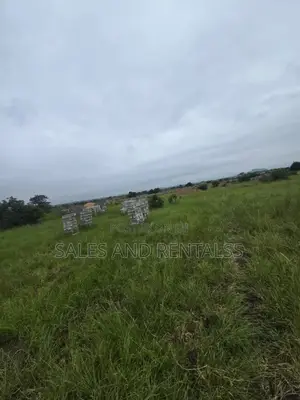 Dawhenya Land