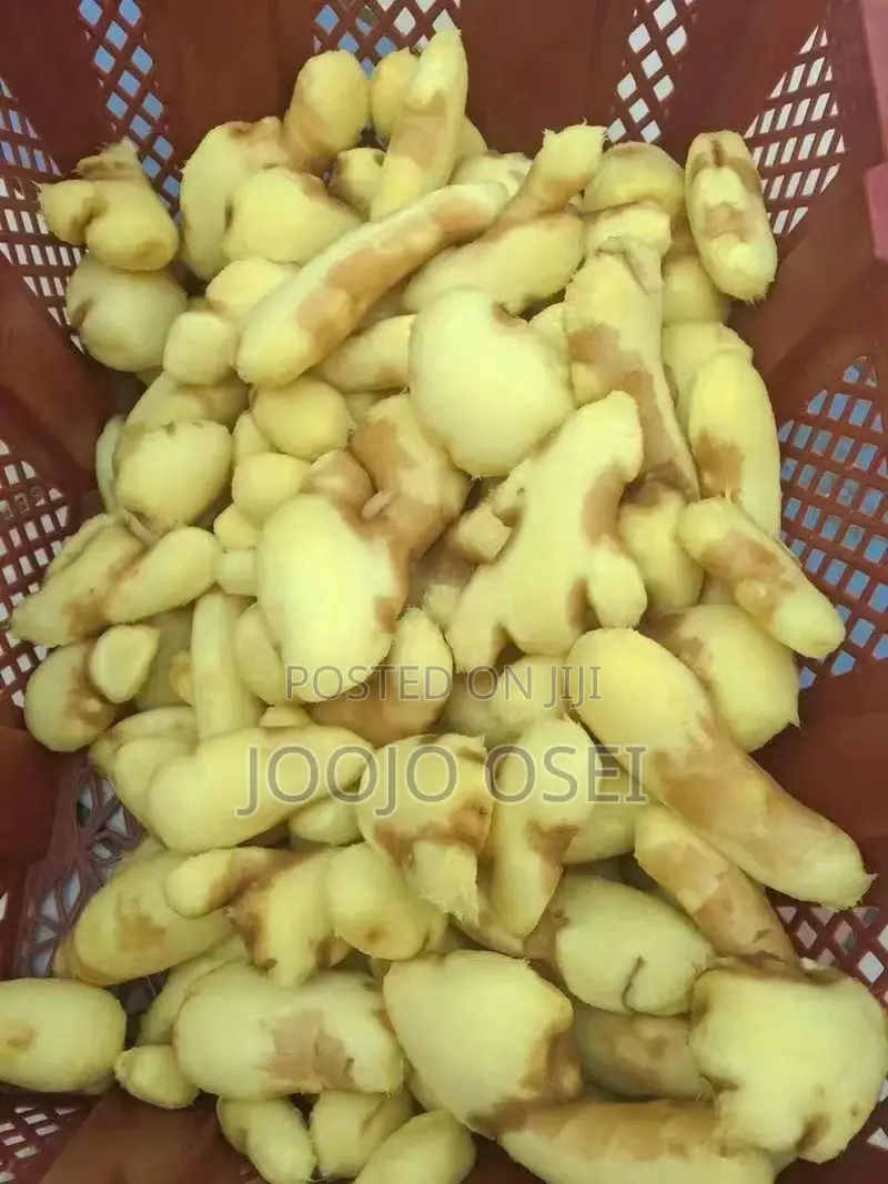 Multipurpose Stainless Steel Commercial Ginger and Potatoes Peeler