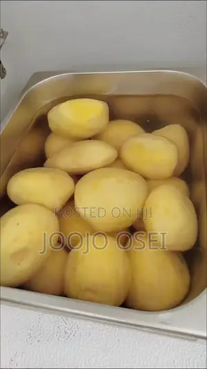 Multipurpose Stainless Steel Commercial Ginger and Potatoes Peeler