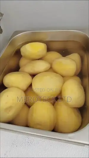 Multipurpose Stainless Steel Commercial Ginger and Potatoes Peeler