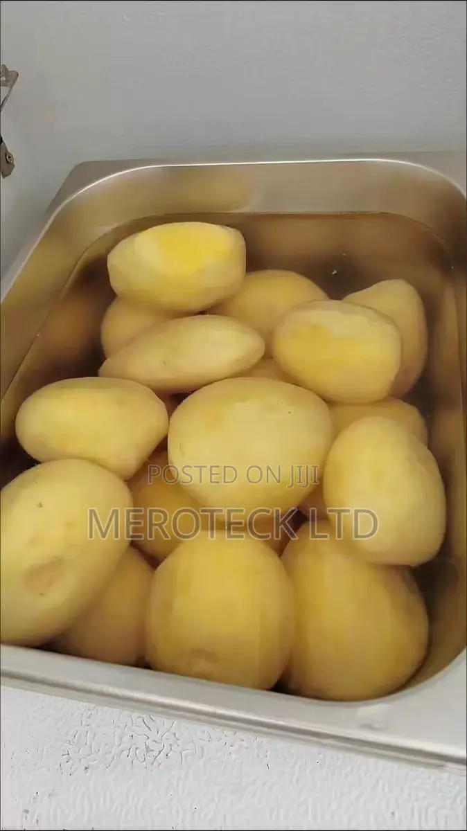 Multipurpose Stainless Steel Commercial Ginger and Potatoes Peeler