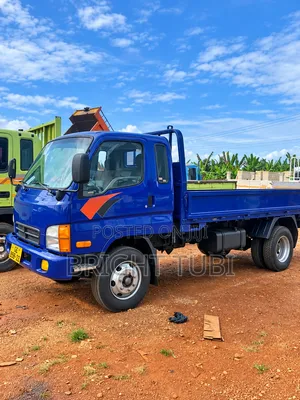 Hyundai Cargo Truck 2010 Blue