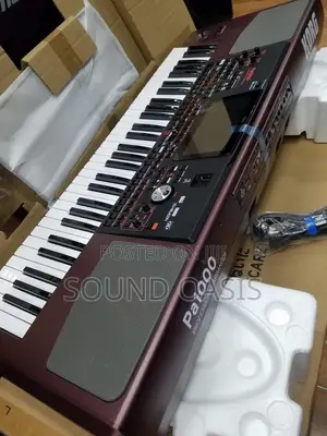 Korg Pa1000 61-Key Professional Arranger