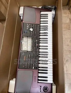 Korg Pa1000 61-Key Professional Arranger