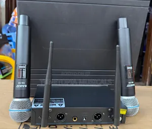 AKG DM-100 2in1 Wireless Microphone
