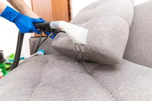 Sofa Dry Cleaning With Cleantex