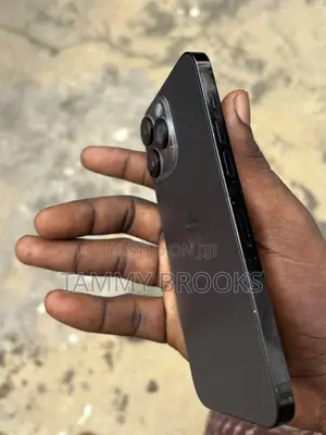 Apple iPhone 14 Pro Max 256 GB Black