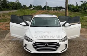 Hyundai Elantra Sport Sedan FWD (1.6L 4cyl 6M) 2017 White