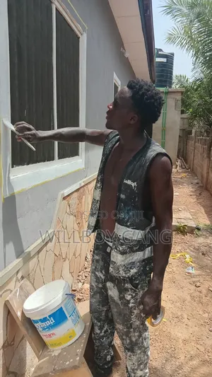 Professional Painter Interior Exterior POP