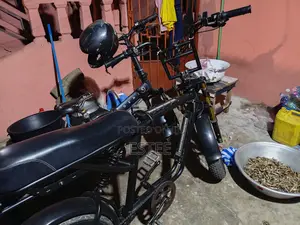 Electronic Bike