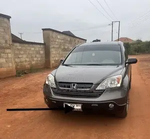 Honda CR-V 2010 Gray
