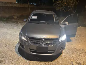 Volkswagen Tiguan S 4Motion 2010 Gray