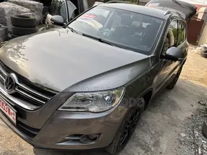 Volkswagen Tiguan S 4Motion 2010 Gray