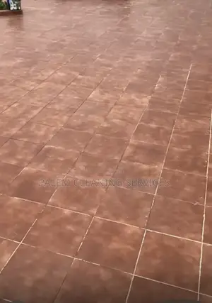 Floor Cleaning (Terra-Cotta Floor)