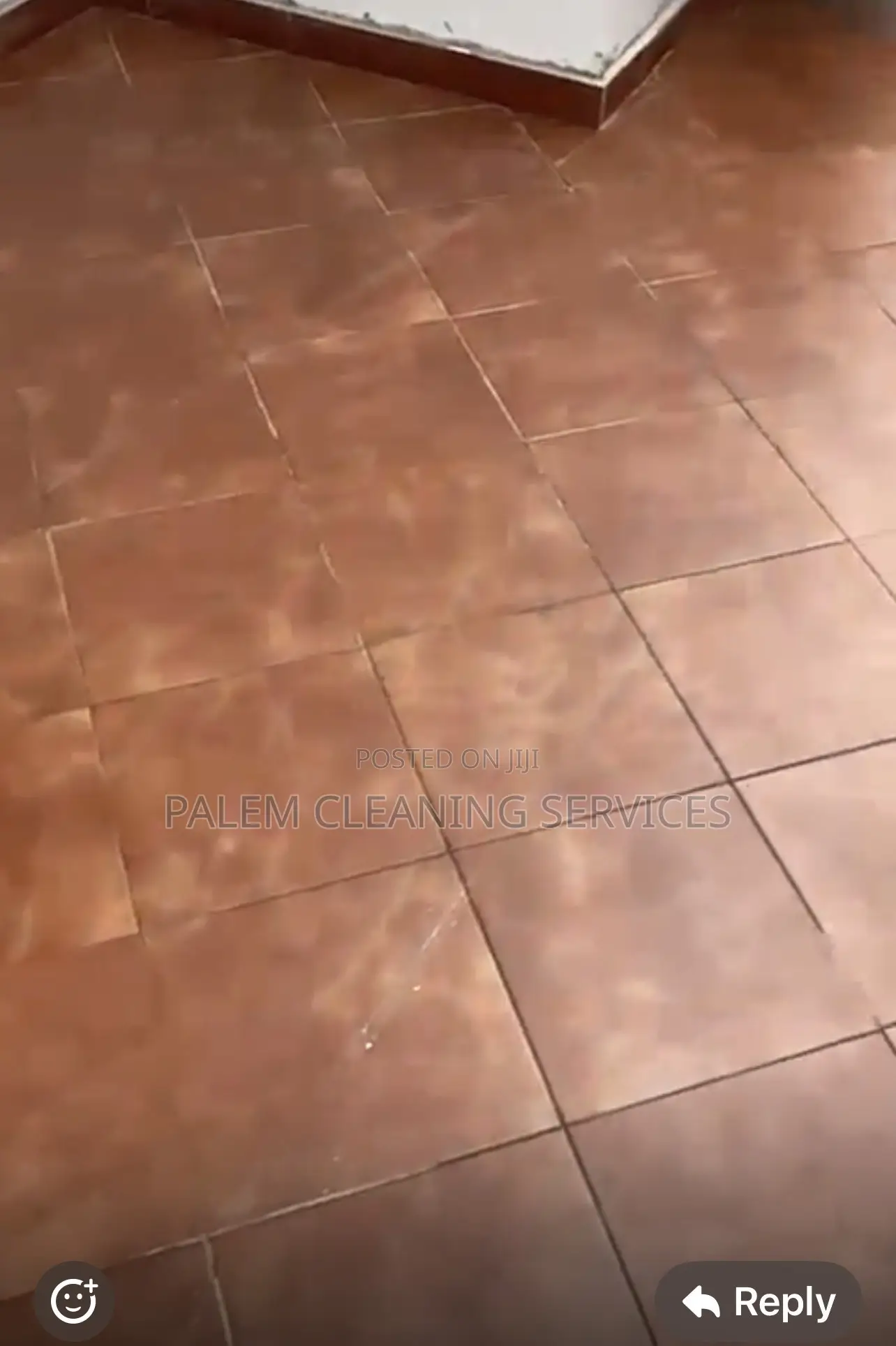 Floor Cleaning (Terra-Cotta Floor)