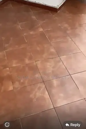 Floor Cleaning (Terra-Cotta Floor)
