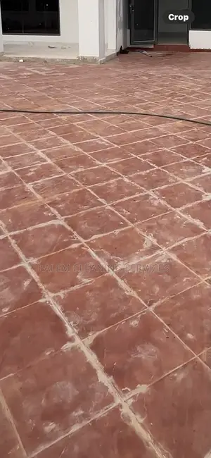 Floor Cleaning (Terra-Cotta Floor)