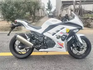 Kawasaki Ninja 400 2024 White