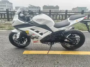 Kawasaki Ninja 400 2024 White