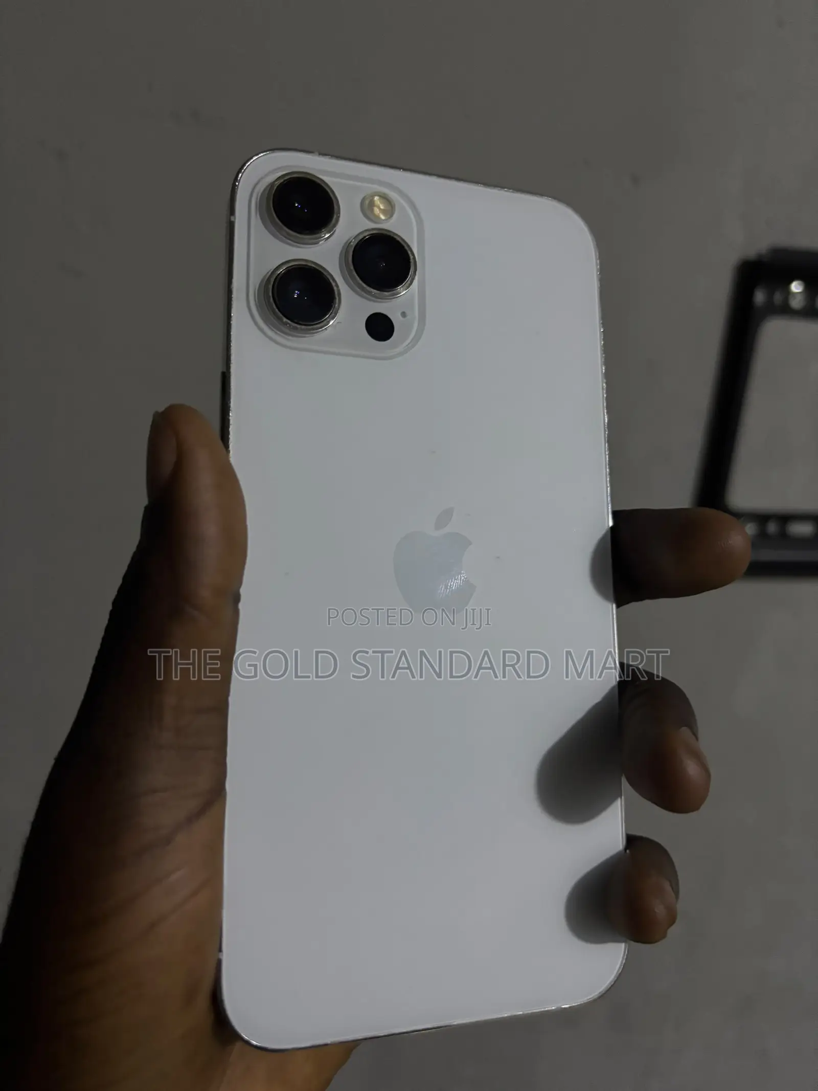 iPhone 12 Pro Max Screen