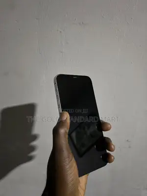 iPhone 12 Pro Max Screen