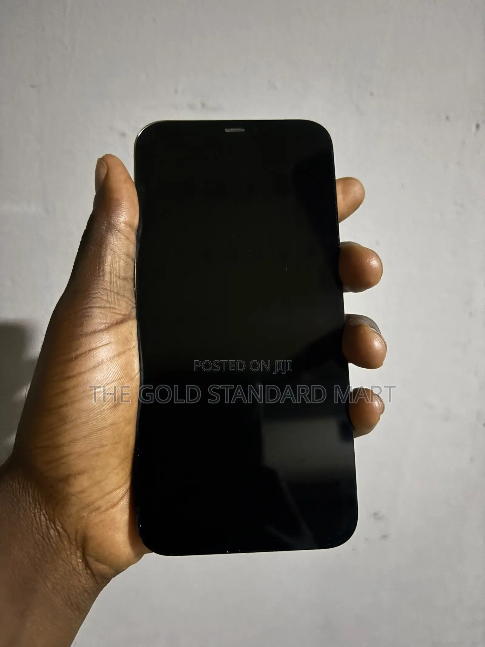 iPhone 12 Pro Max Screen