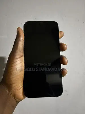 iPhone 12 Pro Max Screen