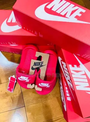 Nike SB Slides
