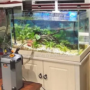 External Aquarium Filters