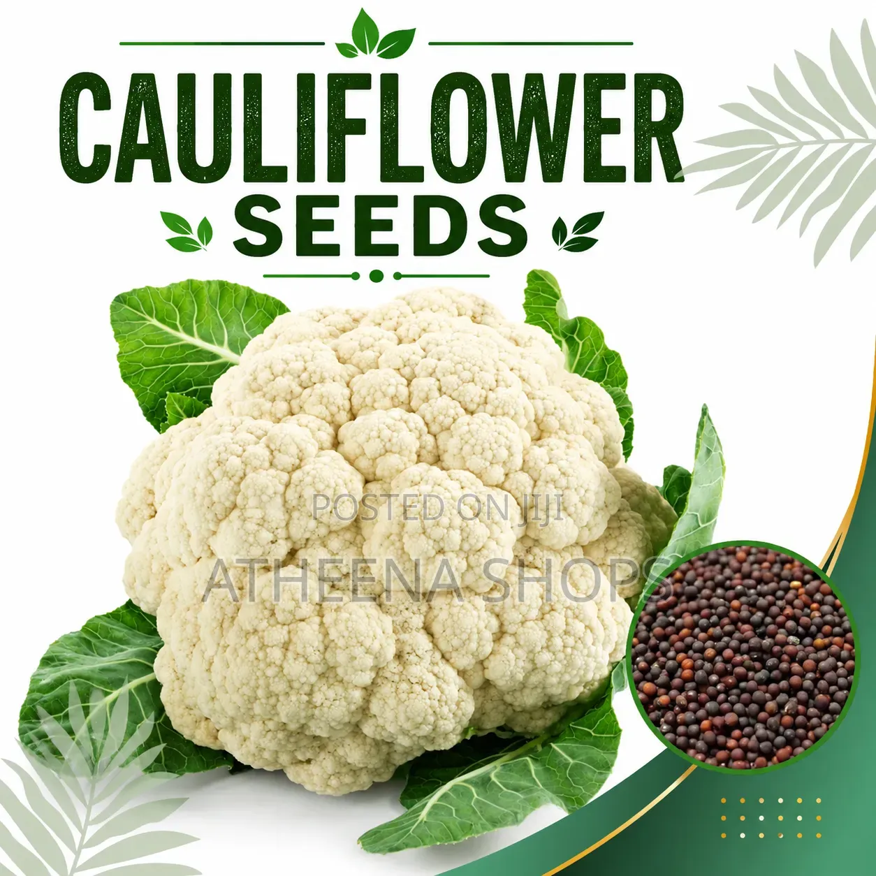 Organic Cauliflower Seeds