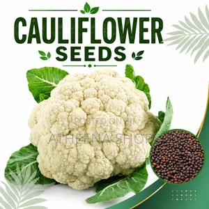 Organic Cauliflower Seeds
