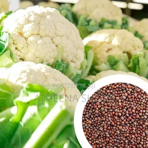 Organic Cauliflower Seeds