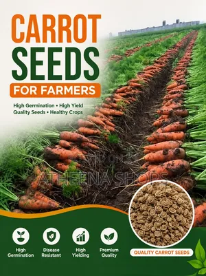 Carrot Seeds (Sweet Variety) F1