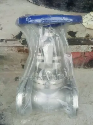2" Stainless Globe Valve 150lbs