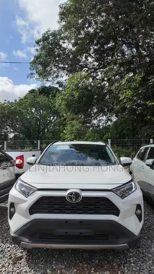 Toyota RAV4 2019 White