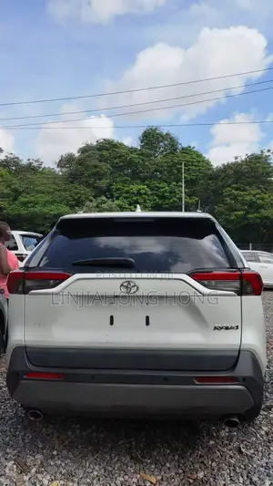 Toyota RAV4 2019 White
