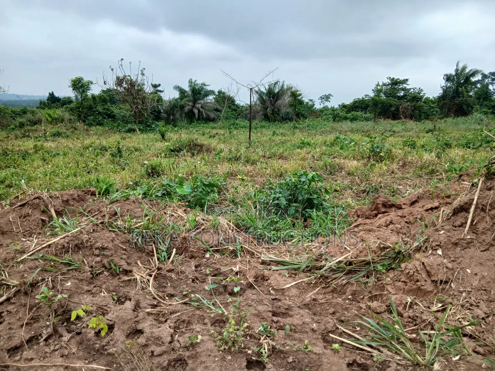 Lands for Sale at Ejisu Besease(jamasi)