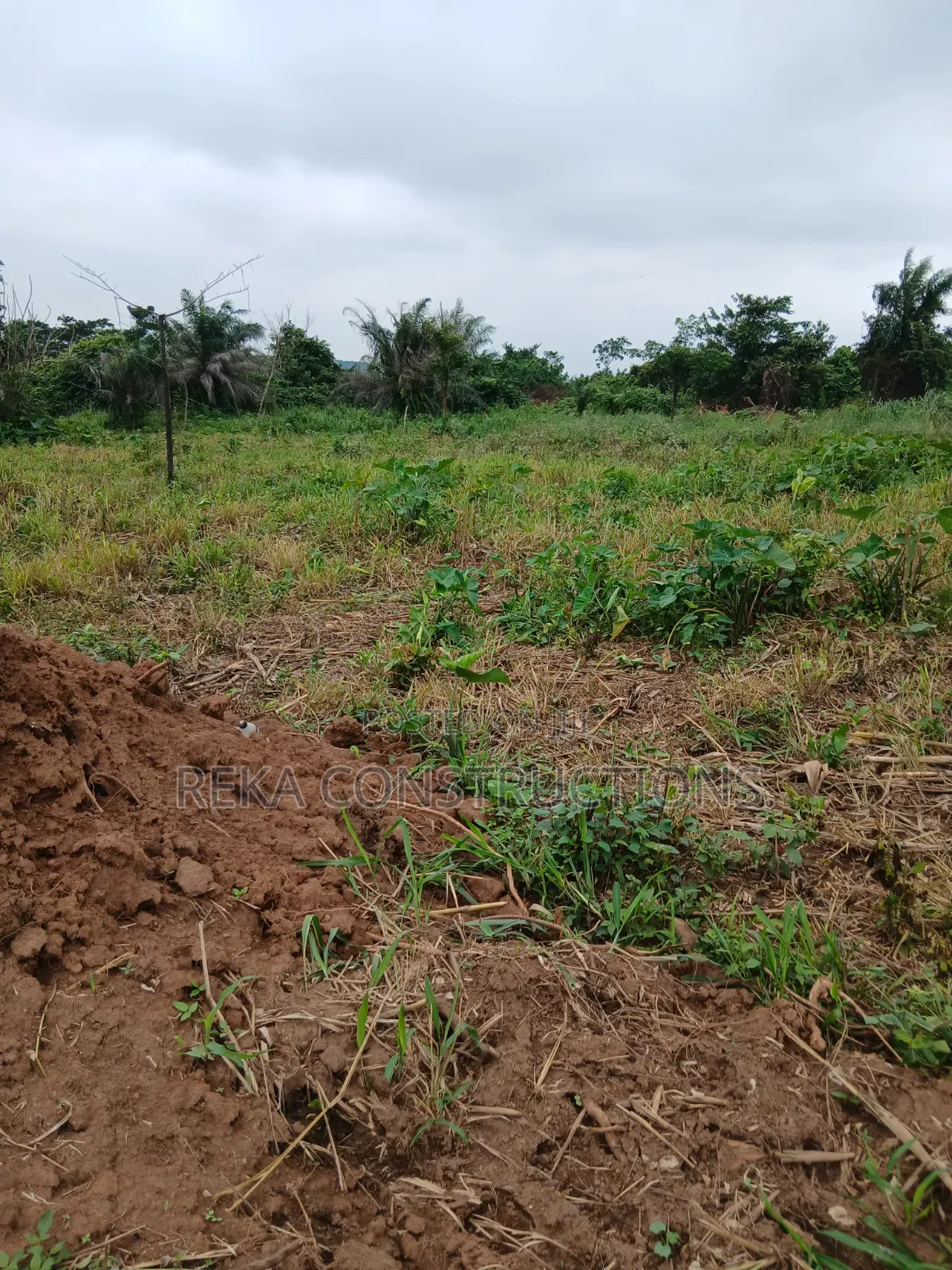 Lands for Sale at Ejisu Besease(jamasi)