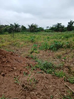 Lands for Sale at Ejisu Besease(jamasi)
