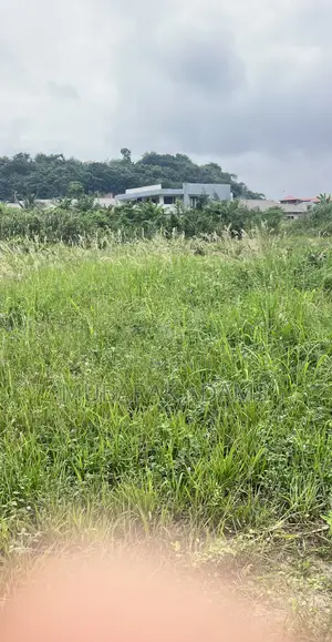 Bush Weeding