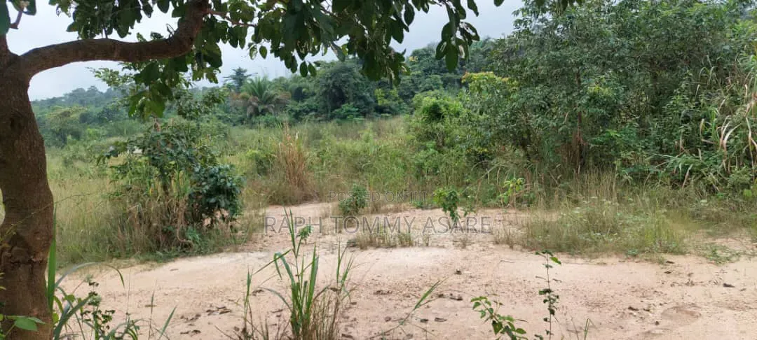 Farmland at Kwabere Kasaam for Sale